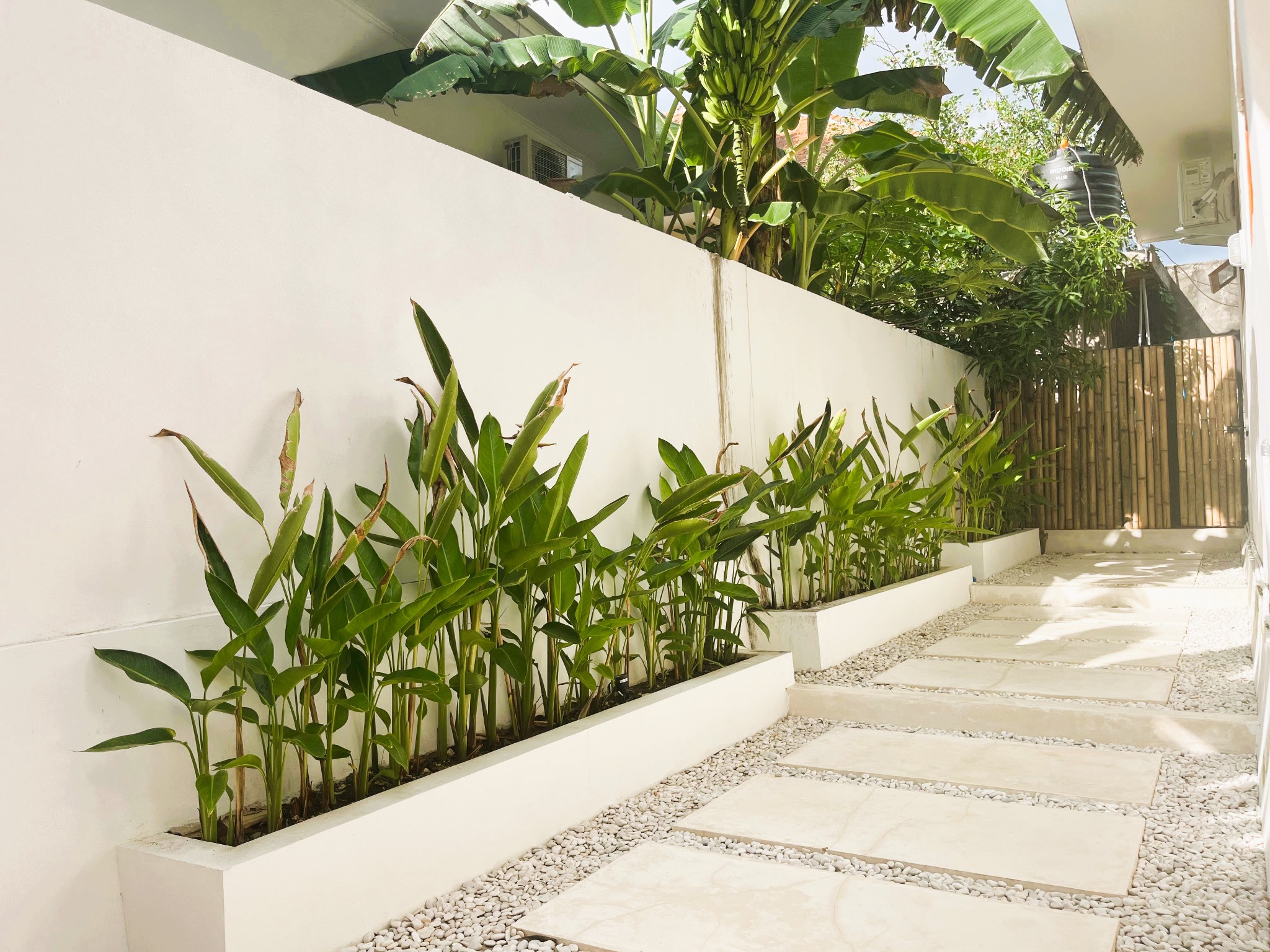 Private tropical entrance path