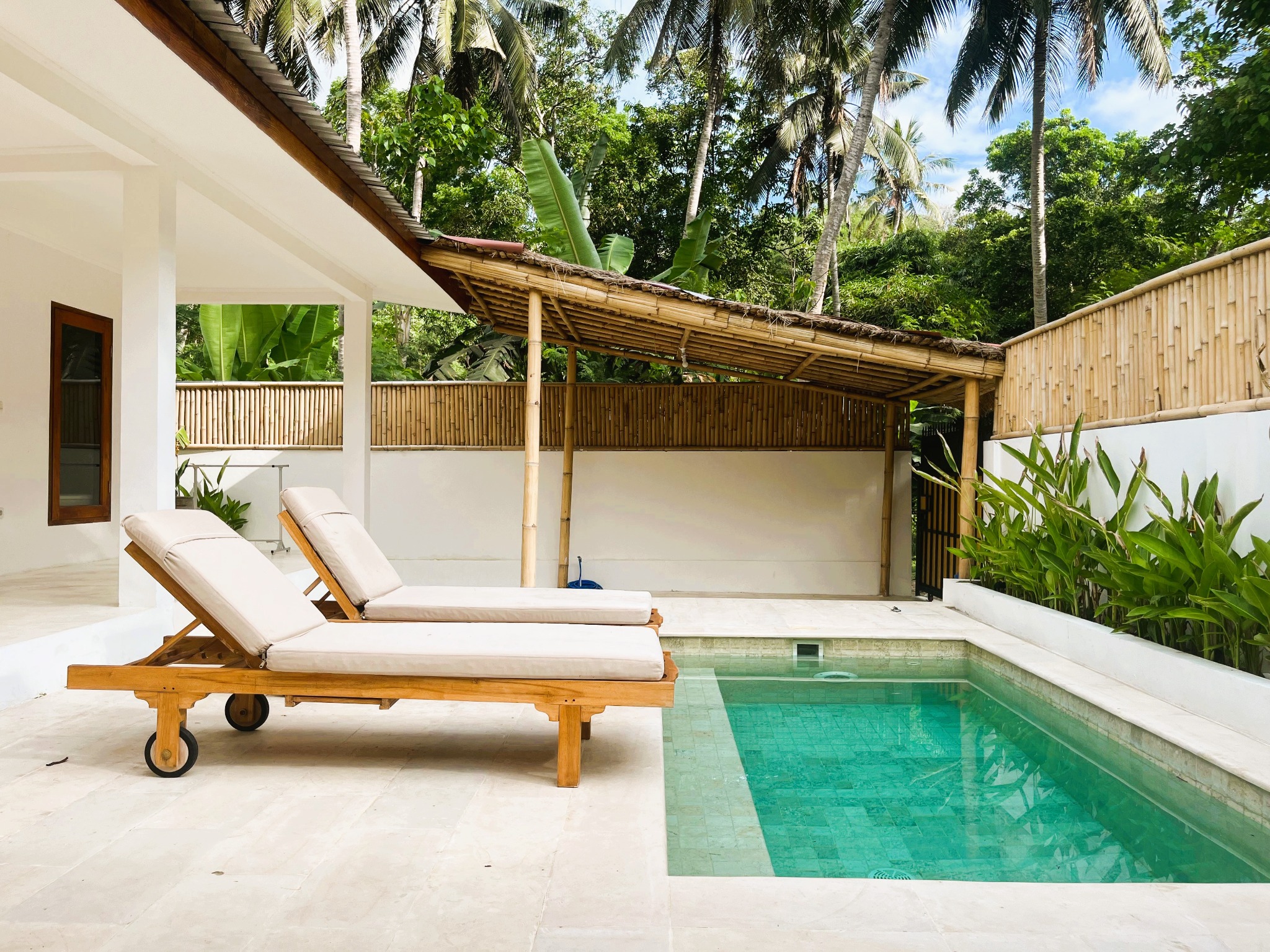 Pool and sun loungers beneath the palms