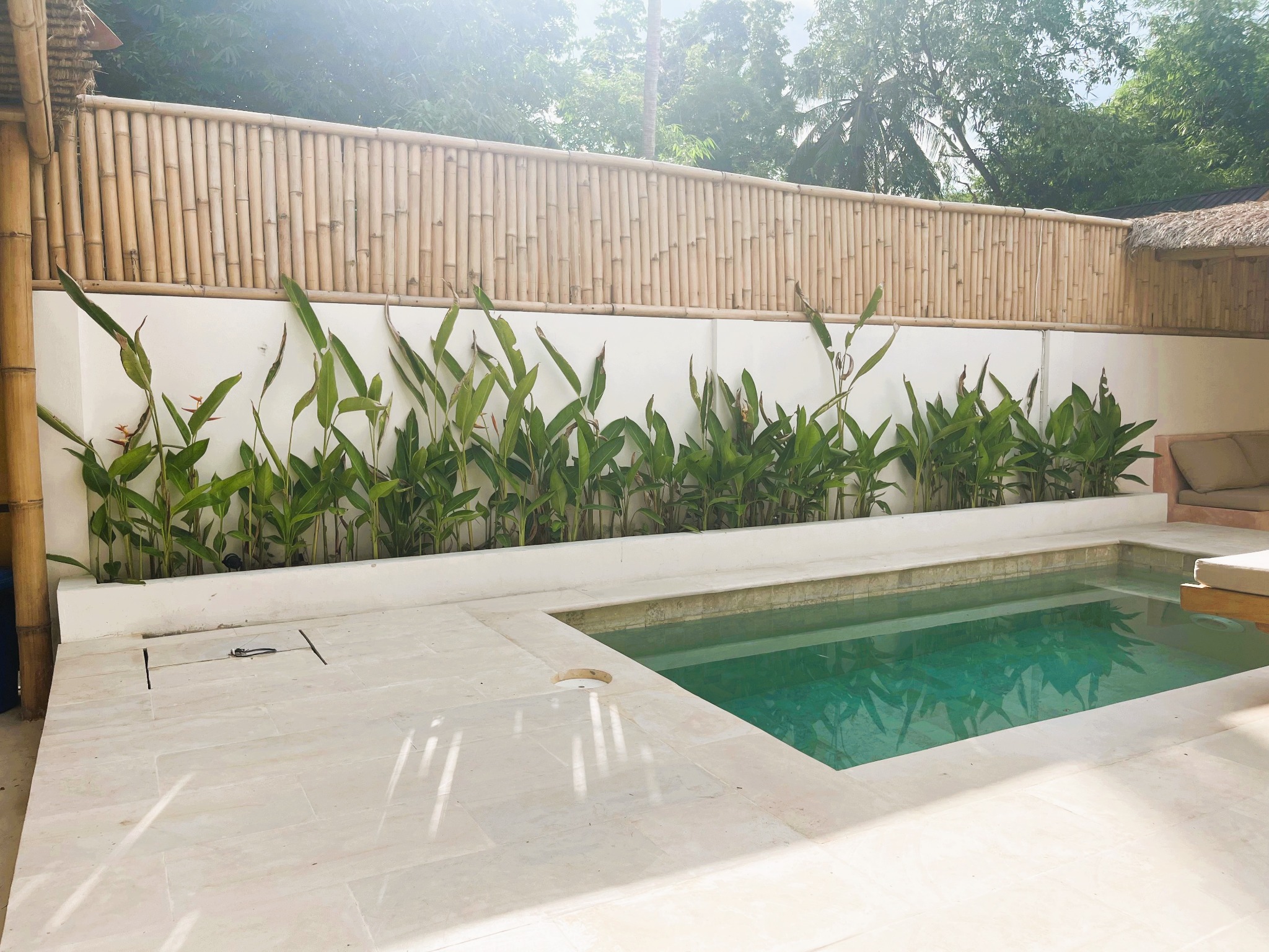 Quiet poolside garden